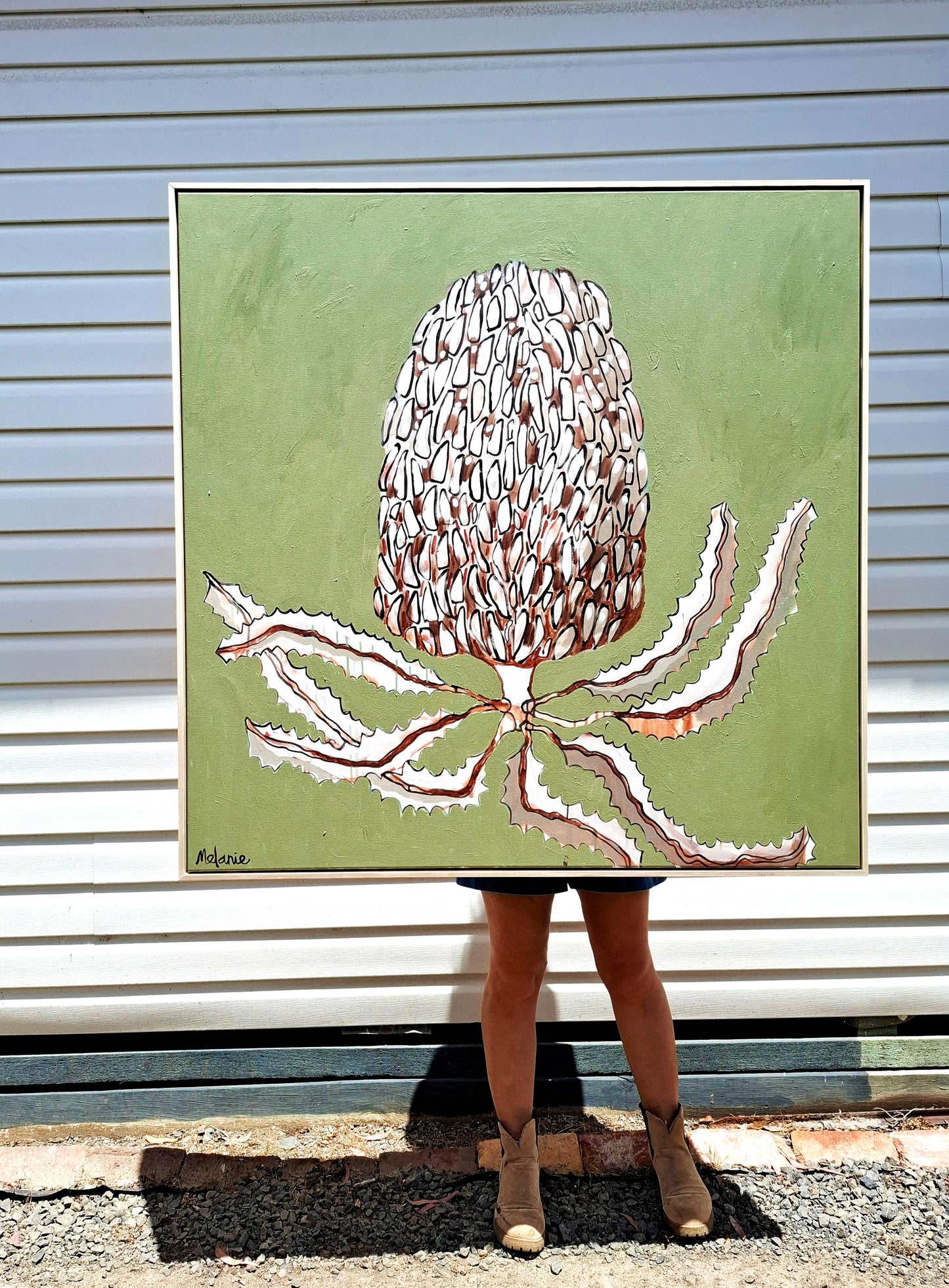 'A Christmas Banksia'