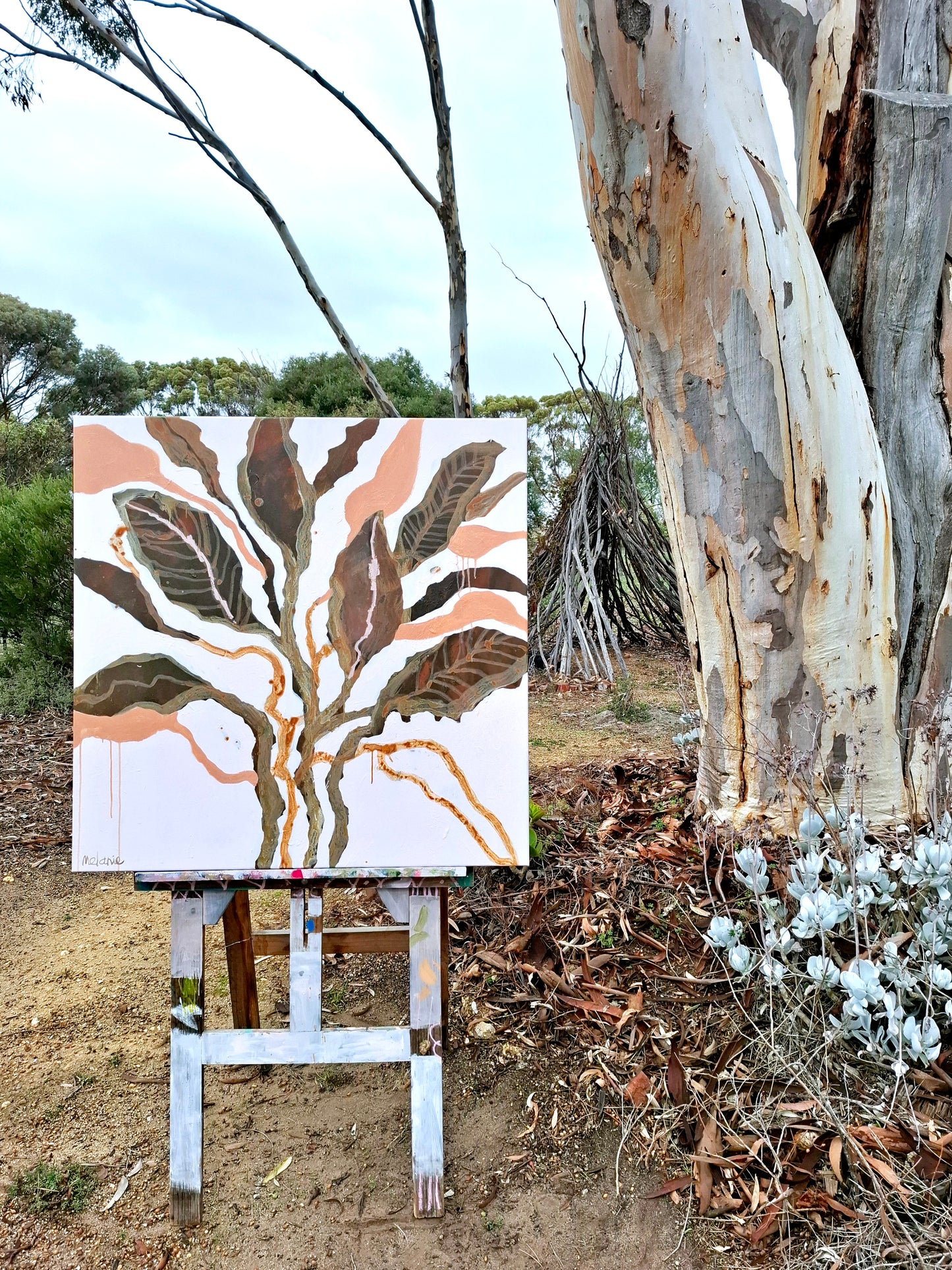 'Can't go without leaves and trees'