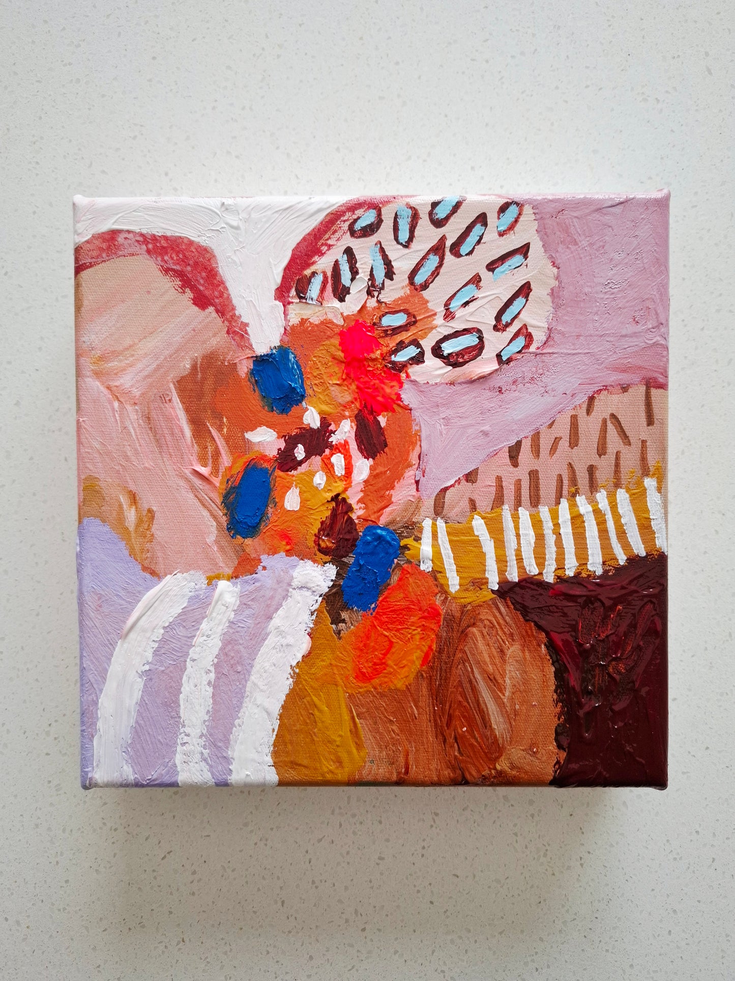 'Little Colour Burst'