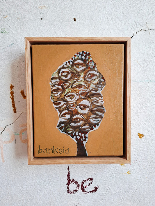 'Banksias'