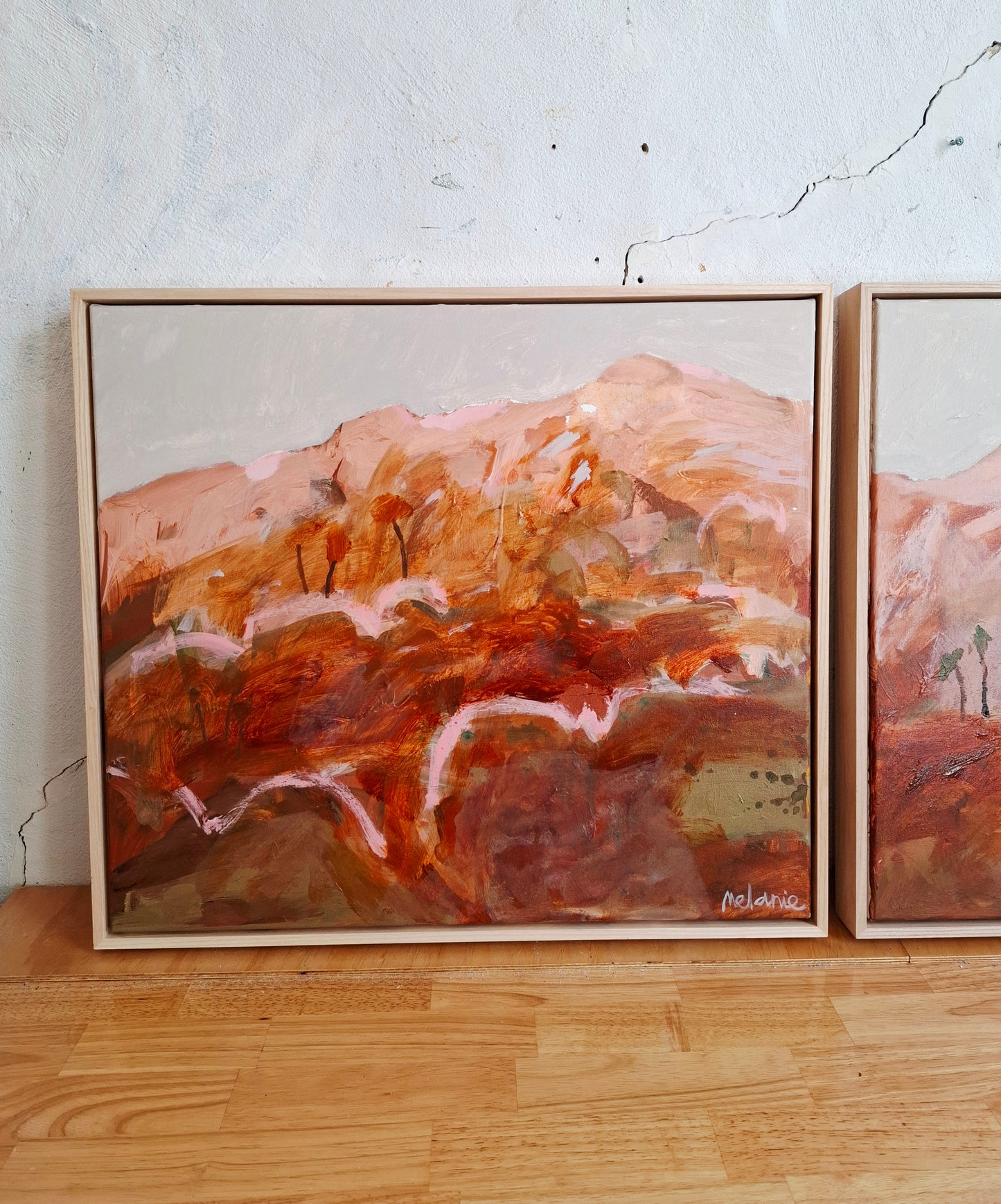 'Mountain memories'